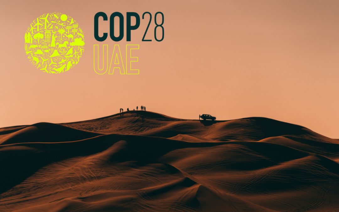 Los acuerdos de la COP28.